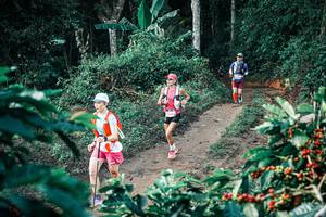 BIB: 
                            <button type="button" onclick="openModal(25800670)" class="btn btn-primary btn-sm float-right btn-popup" data-toggle="modal" data-target=".modal-high-quality">
                        <i class="fas fa-shopping-cart"></i> Add to Cart
                    </button>
                                            <button type="button" onclick="isThisMe(25800670, true)" class="btn btn-success btn-sm float-right btn-popup btn-isme hidden" data-toggle="tooltip" data-placement="bottom" title="นี่คือรูปของคุณใช่ไหม คลิกที่นี่เพื่อเอาเข้าอัลบั้ม">
                        <i class="fas fa-plus"></i> Add to album
                    </button>
                    <button type="button" onclick="isThisMe(25800670, false)" class="btn btn-warning btn-sm float-right btn-popup btn-isnotme hidden">
                        <i class="fas fa-ban"></i> Remove from album
                    </button>